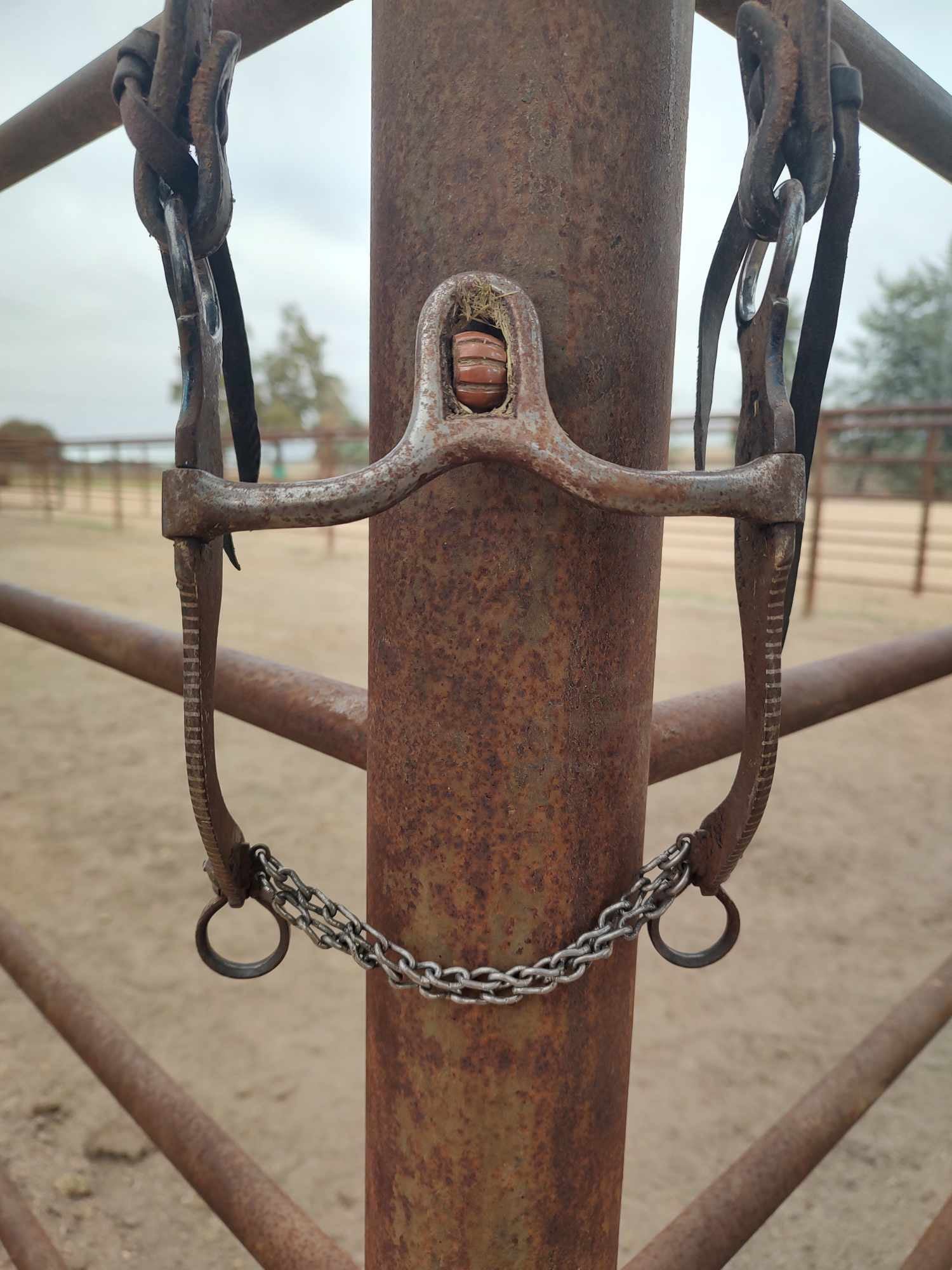 Custom VPV San Joaquin Bit