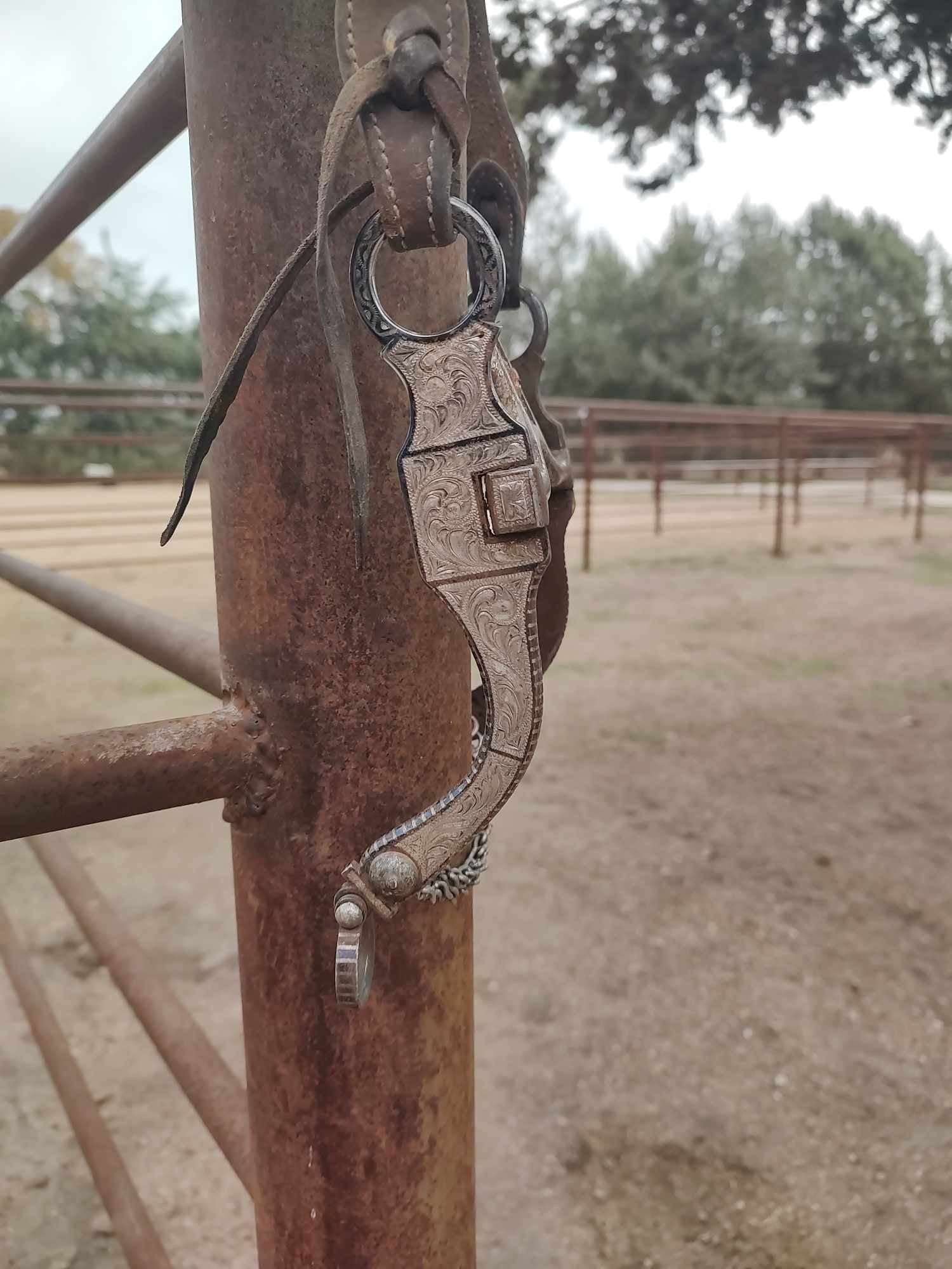 Custom VPV San Joaquin Bit