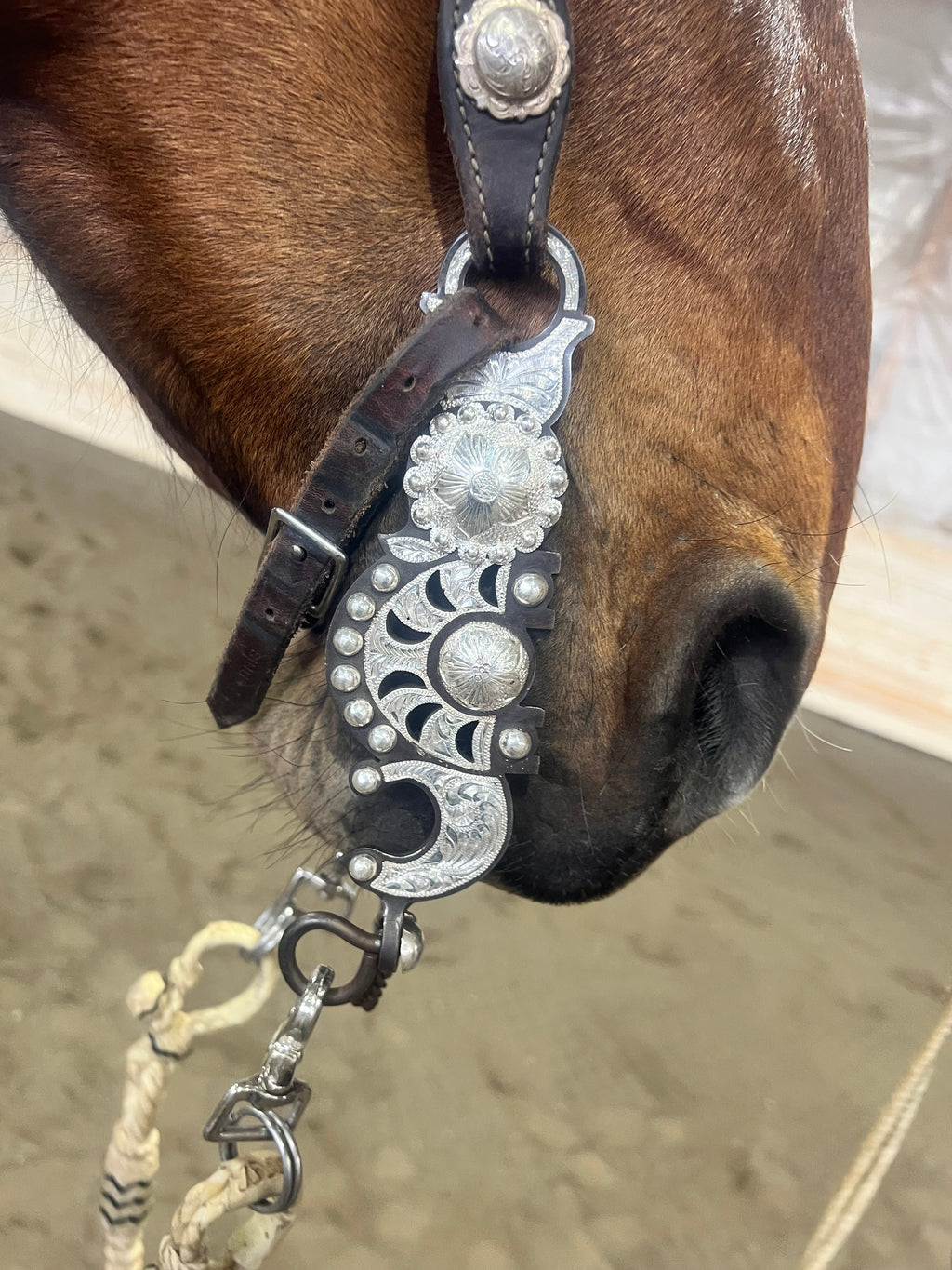 Classy Concho FW Medium Port Cowhorse Bit