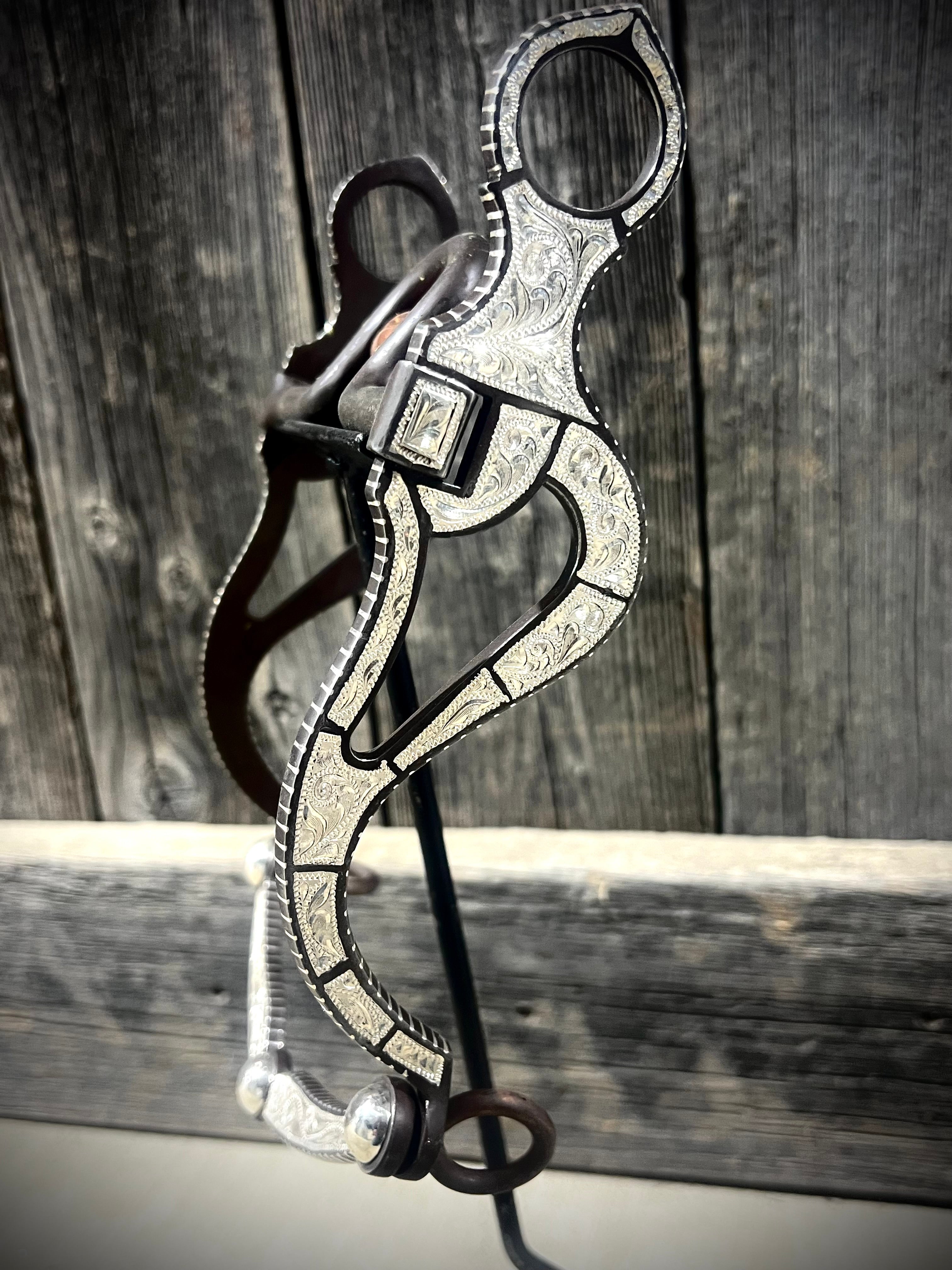 Classy Concho Medium Port Cowhorse Bit