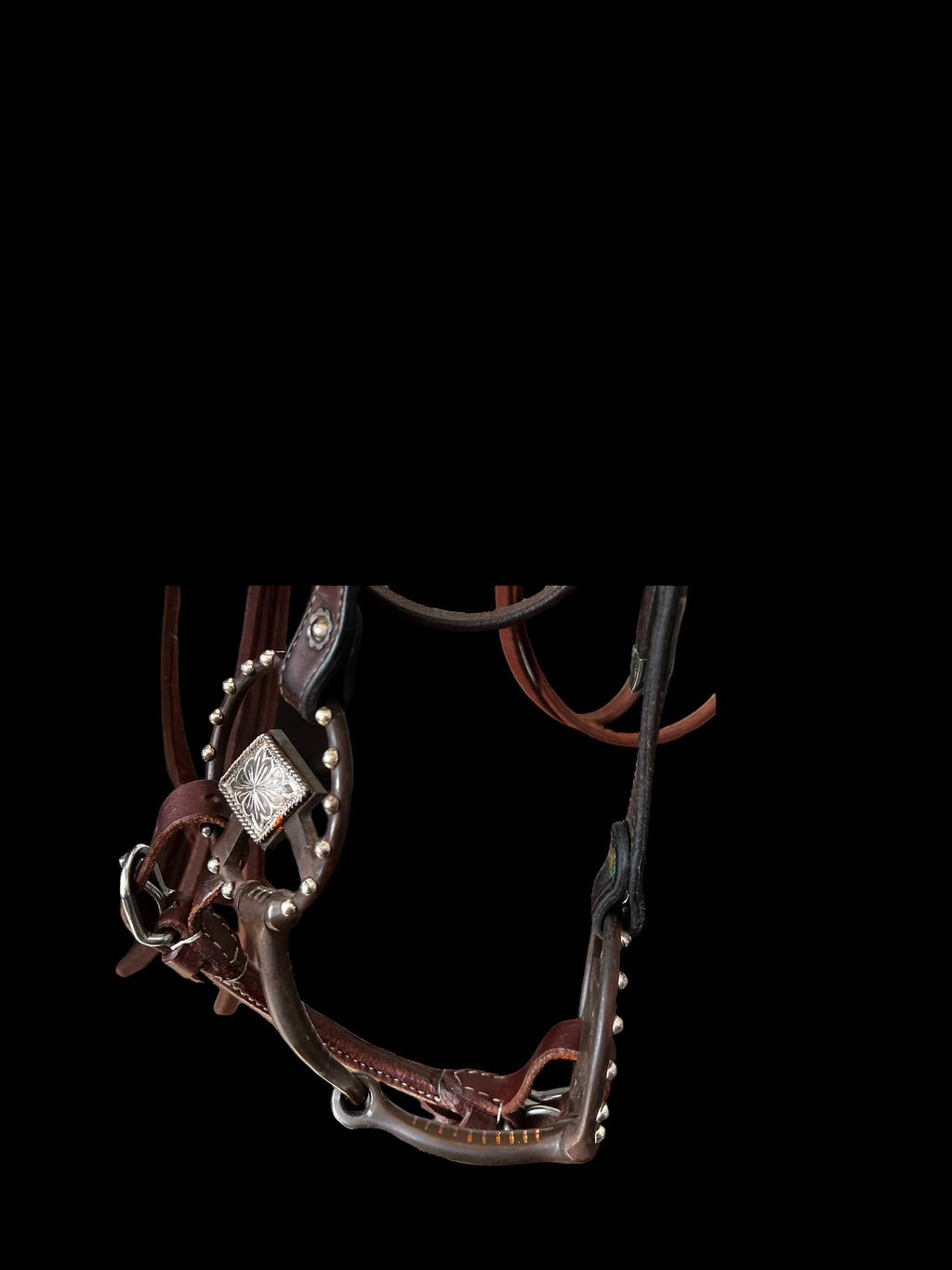 NRCHA Legal Curb Strap