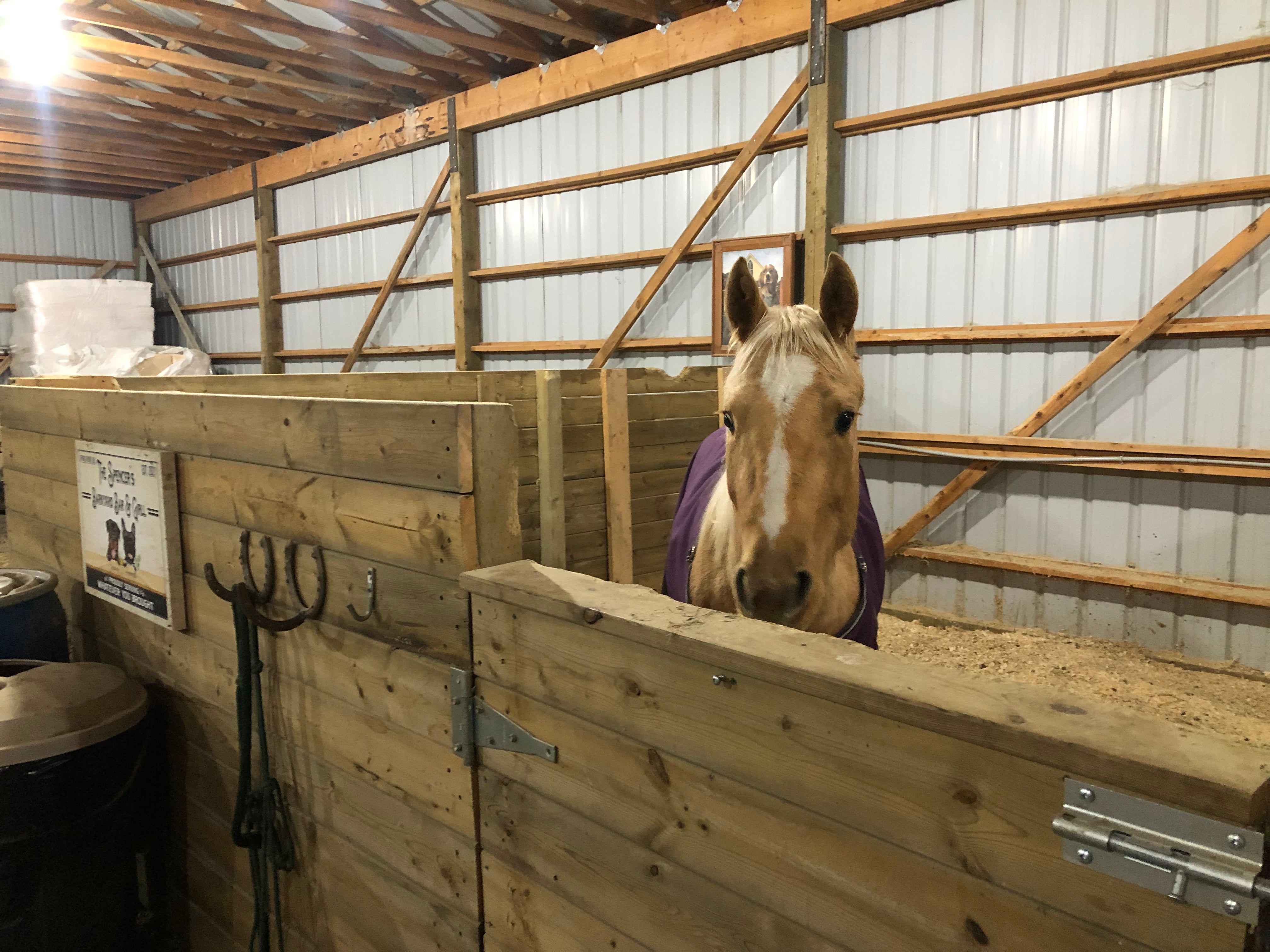 Spring Point Bed and Bale Stall/Pen Rental