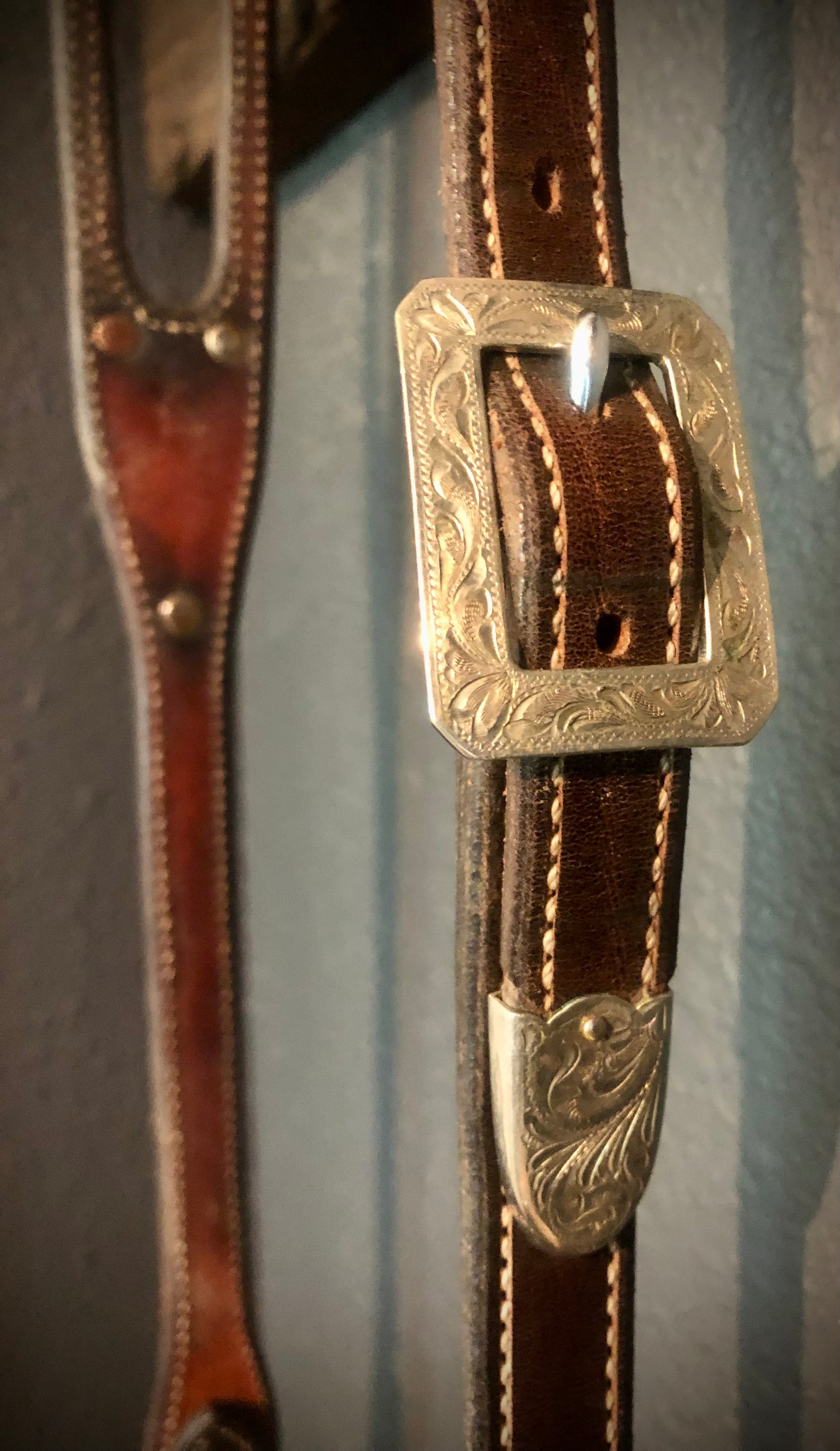 Peter Swales Trophy Headstall