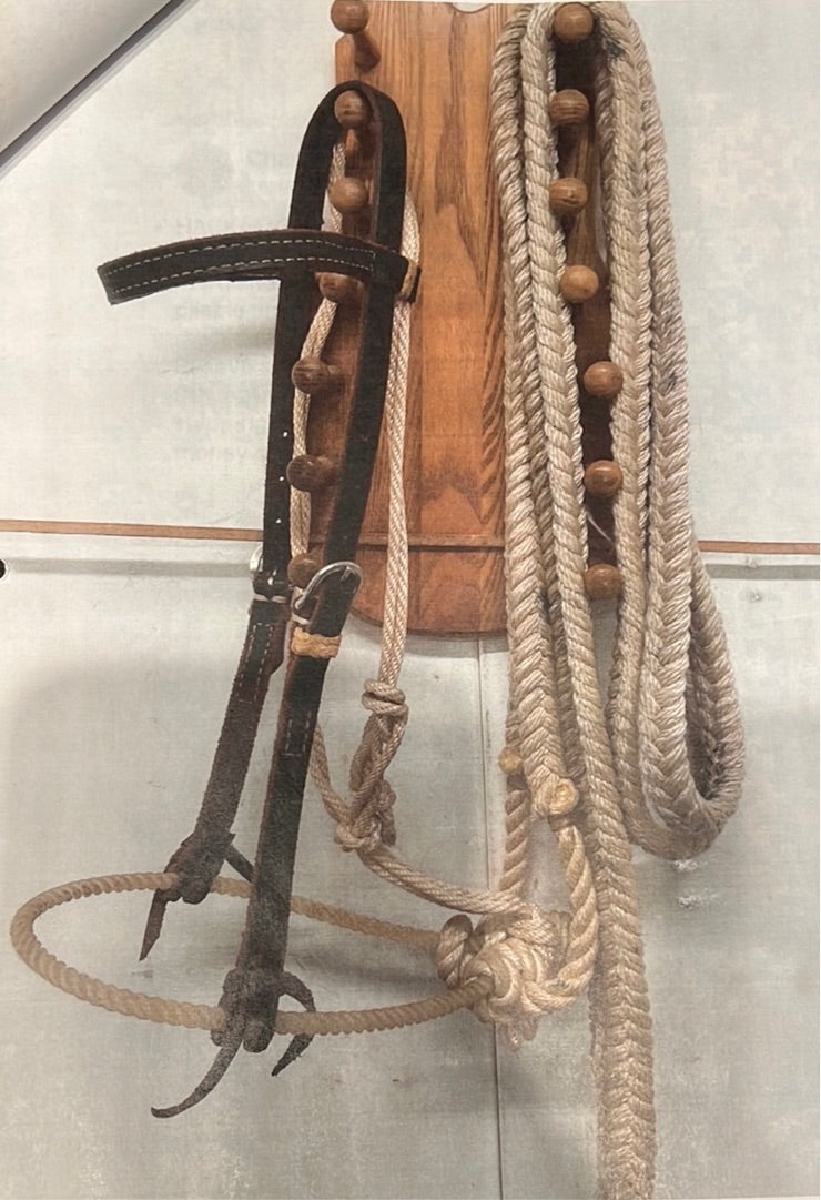 Hard Rope Hackamore Hackamore Training